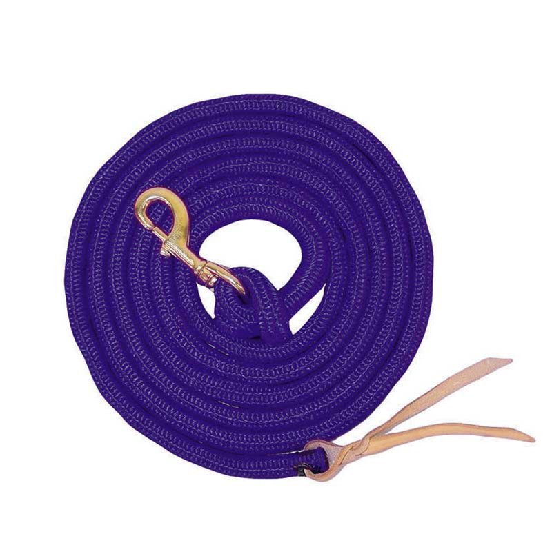 Nylon Lead Rope with Leather Popper: Purple